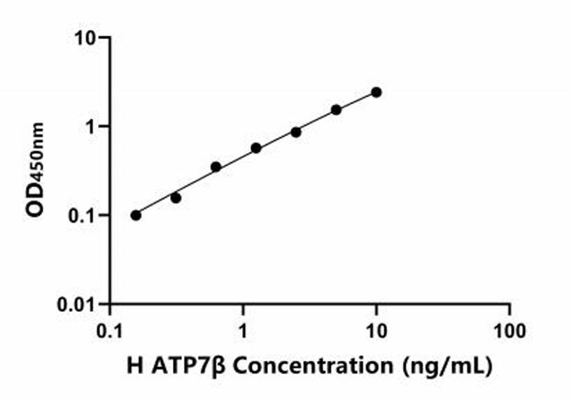人(ATP7β)ELISA試劑盒 人(ATP7β)ELISA試劑盒